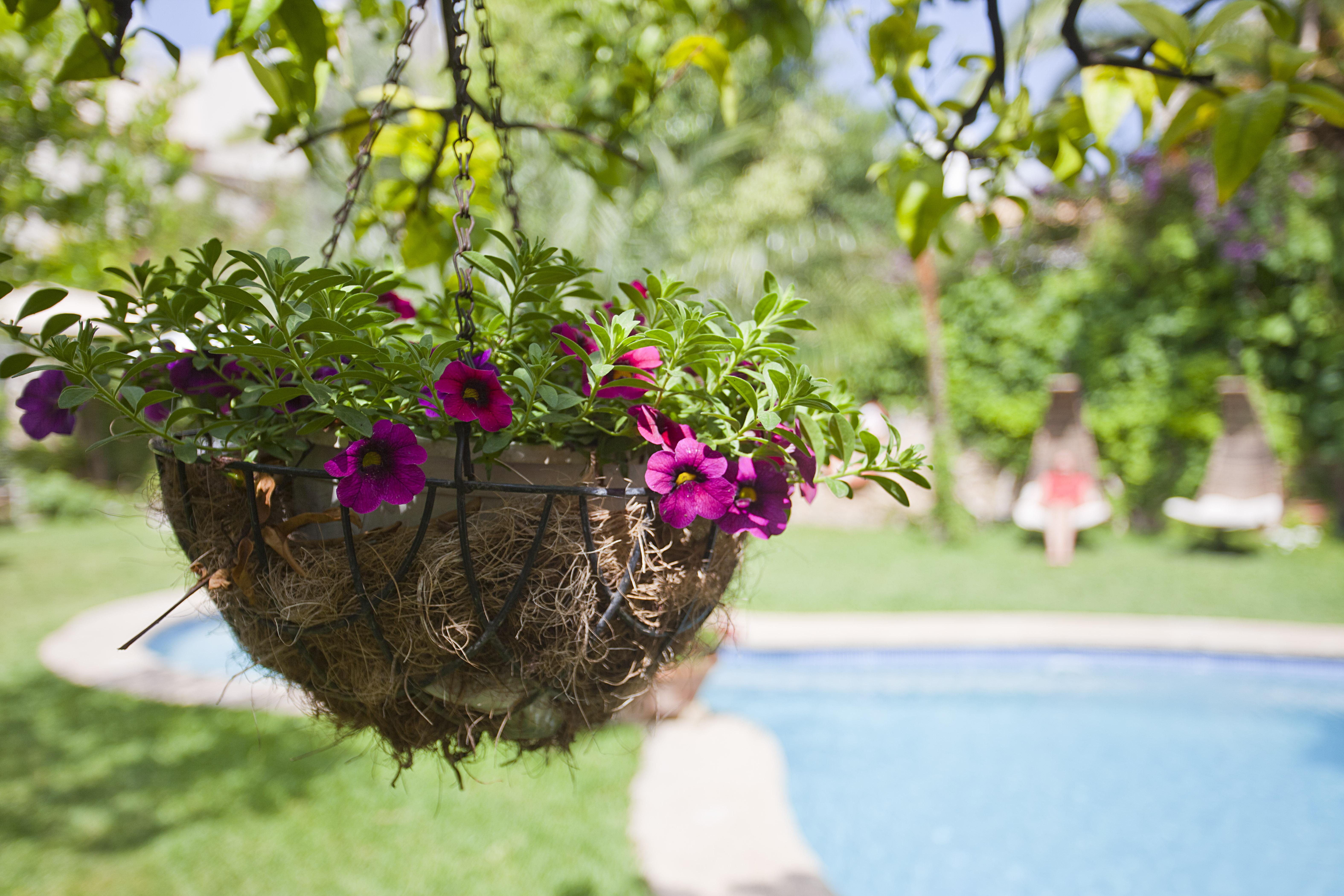 Son Sant Jordi Hotel Pollença