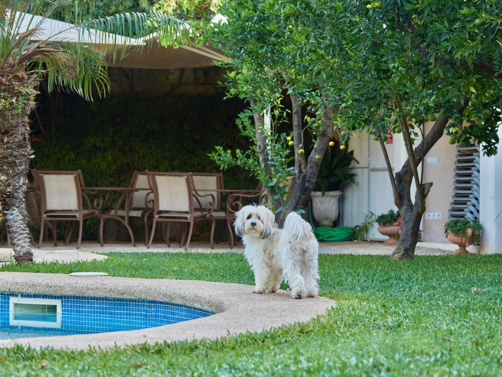 Son Sant Jordi Hotel Pollença
